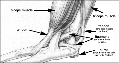Elbow Pain